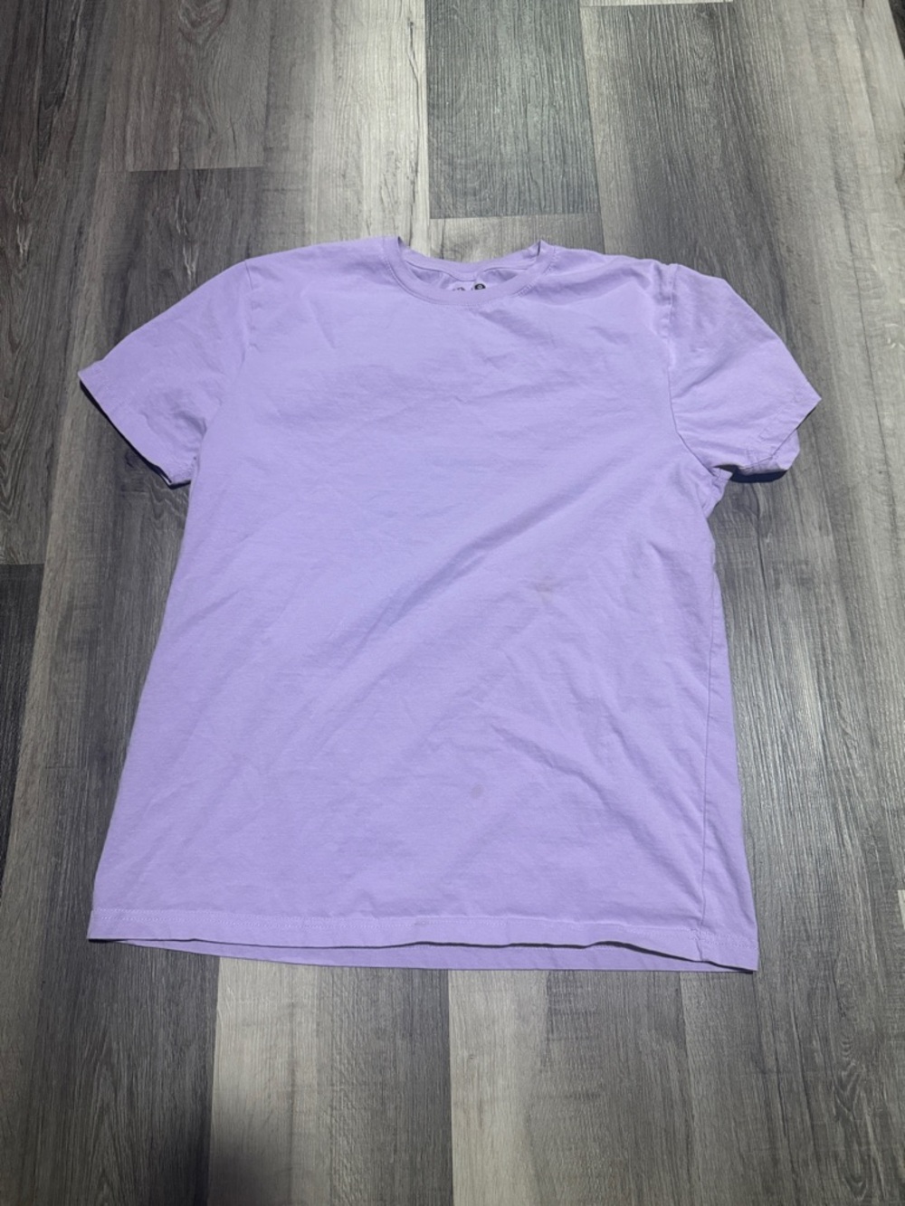 Fruit of the Loom Men's Lavender Crew Neck Tee
